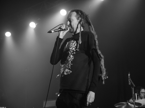 frenzal rhomb spring loaded festival 18
