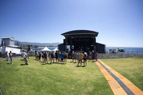 giraffehead yours and owls 2025 13