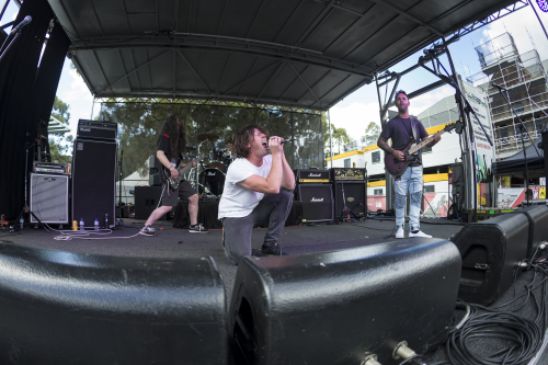 glasshawk uncaged festival 09