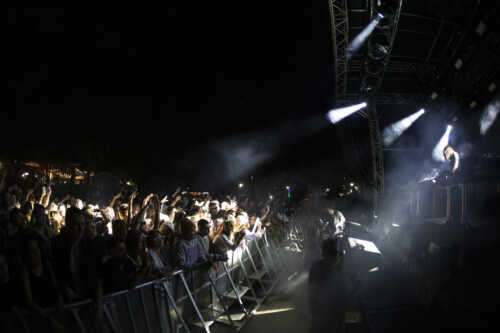 golden features yours and owls 10th birthday party 24 08