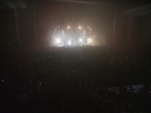 grinspoon spring loaded festival 22