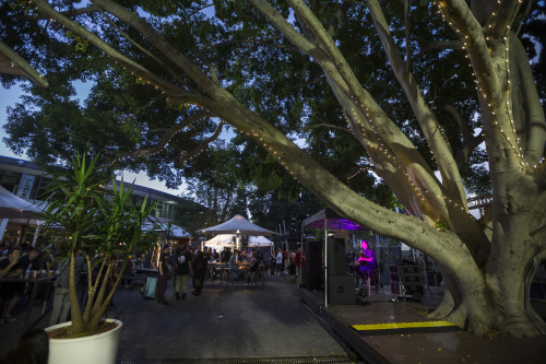 jae haydon hits and pits festival 04