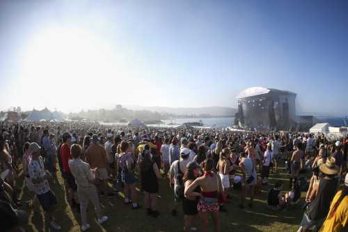 jpegmafia yours and owls 2025 13