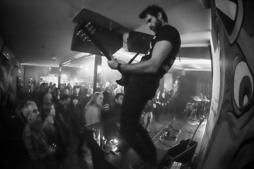 king of the north spectrum 07