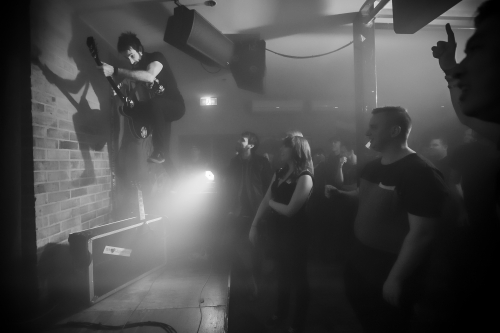 king of the north spectrum 24