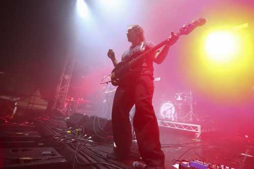 le shiv yours and owls 2025 01