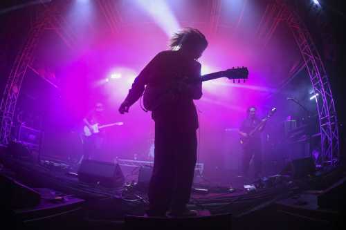 le shiv yours and owls 2025 07