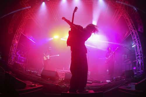 le shiv yours and owls 2025 08