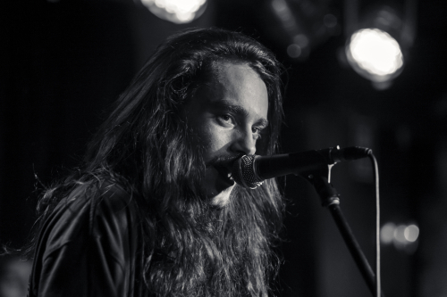 love buzz the lansdowne 07