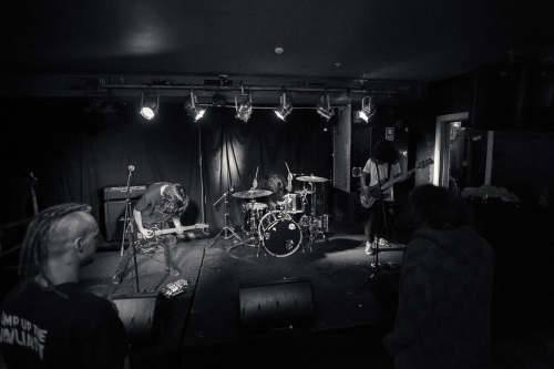 love buzz the lansdowne 12