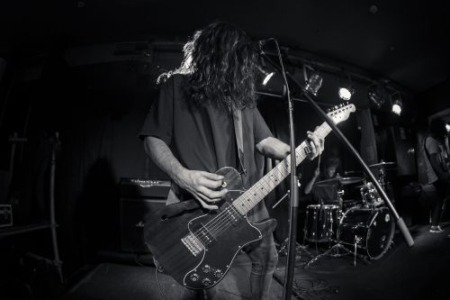 love buzz the lansdowne 13