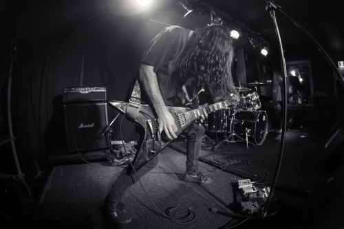 love buzz the lansdowne 19