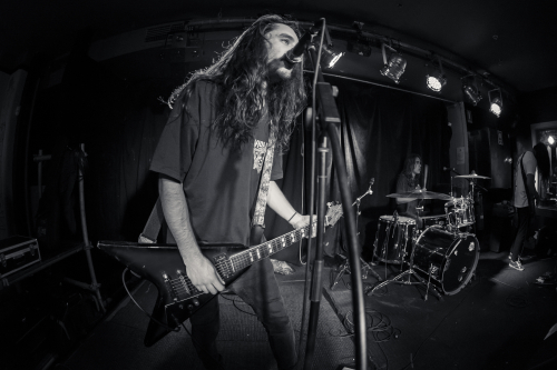 love buzz the lansdowne 20