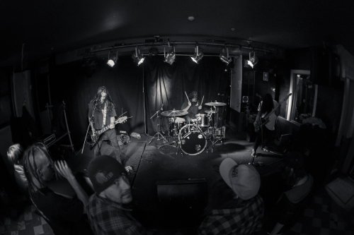 love buzz the lansdowne 22