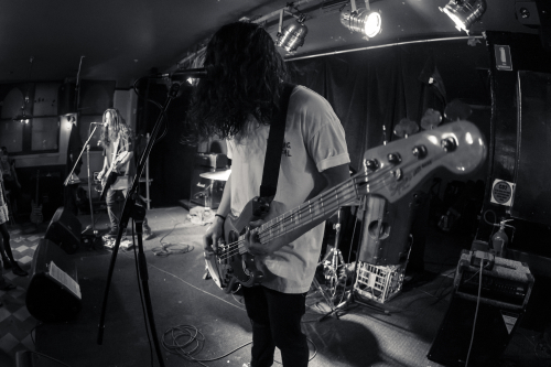 love buzz the lansdowne 23