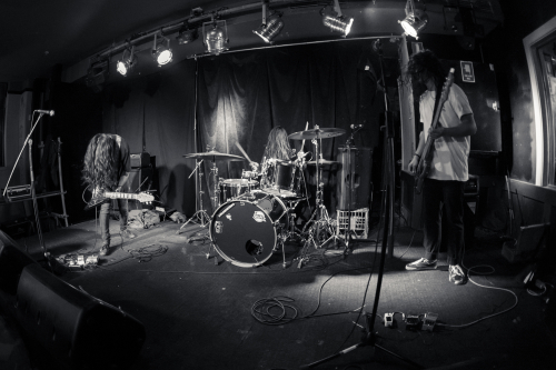 love buzz the lansdowne 24