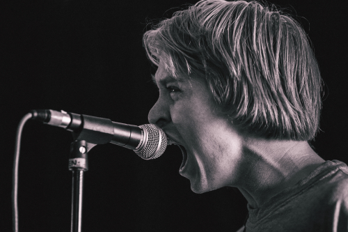 lunatics on pogosticks the farmer and the owl 15 01