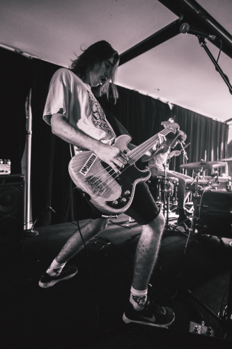 lunatics on pogosticks the farmer and the owl 15 03