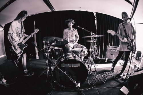 lunatics on pogosticks the farmer and the owl 15 06