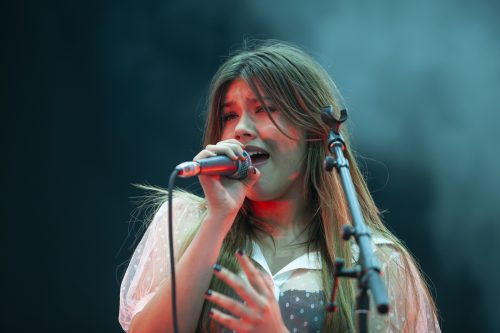 maples pet dinosaur good things festival 04