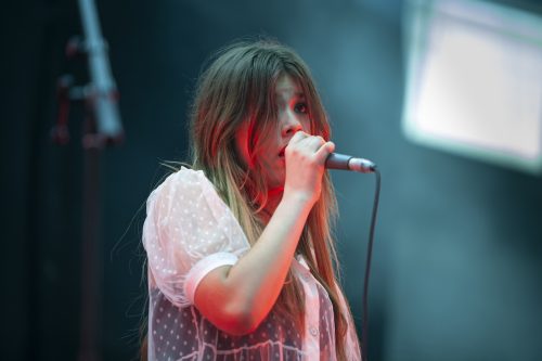 maples pet dinosaur good things festival 05