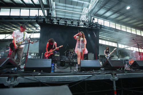 maples pet dinosaur good things festival 09