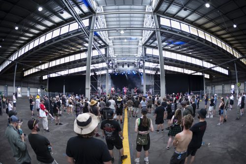 maples pet dinosaur good things festival 13