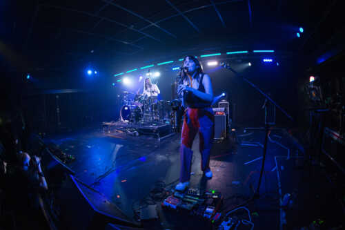 party dozen waves 12