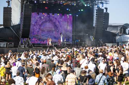 peach prc yours and owls 2025 08