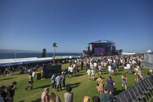 peach prc yours and owls 2025 09