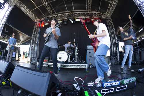 ra ra viper yours and owls 2025 12