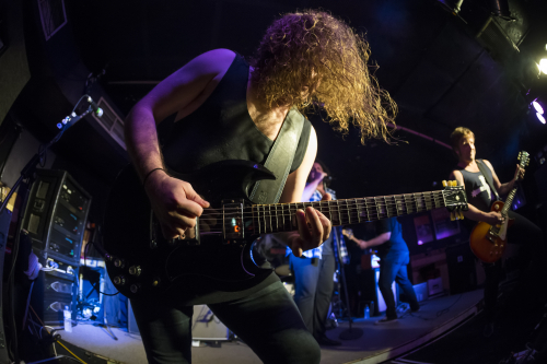 release the hounds the bridge hotel 44