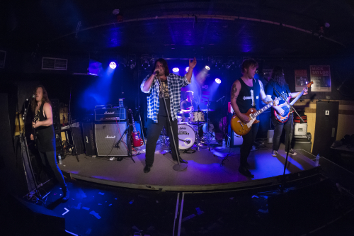 release the hounds the bridge hotel 55