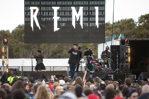 remi yours and owls 06