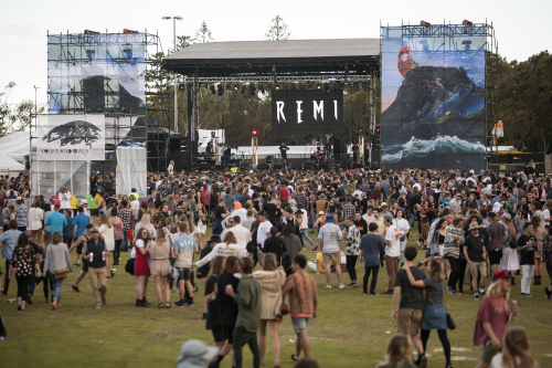 remi yours and owls 07