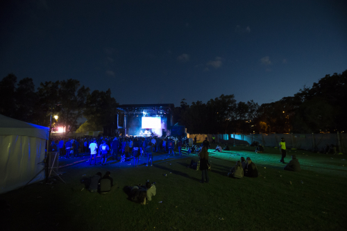 sampa the great yours and owls 10