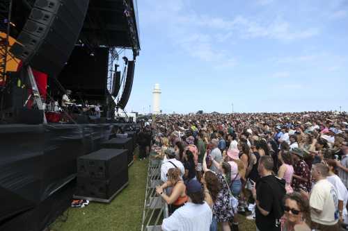 san cisco yours and owls 2025 11