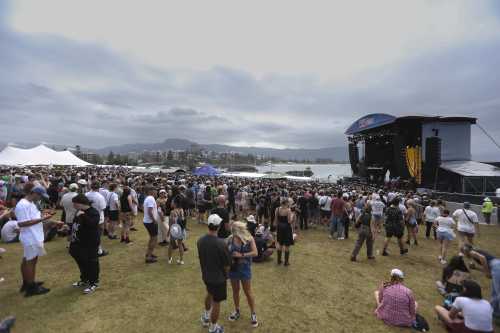 san cisco yours and owls 2025 12