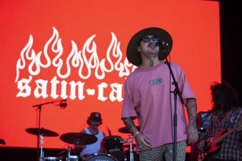 satin cali yours and owls 2025 01