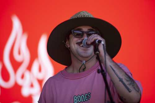 satin cali yours and owls 2025 02