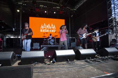 satin cali yours and owls 2025 07