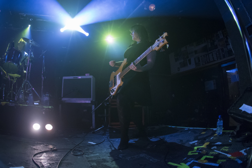 screamfeeder annandale 10