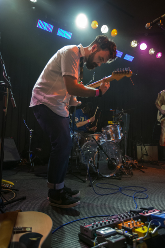 shining bird the farmer and the owl 11