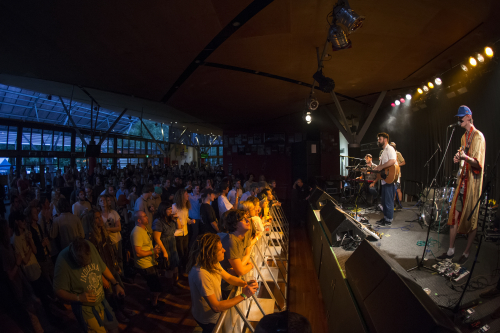 shining bird the farmer and the owl 15