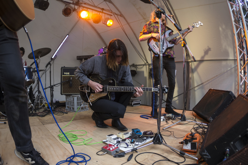 shining bird the farmer and the owl 15 15