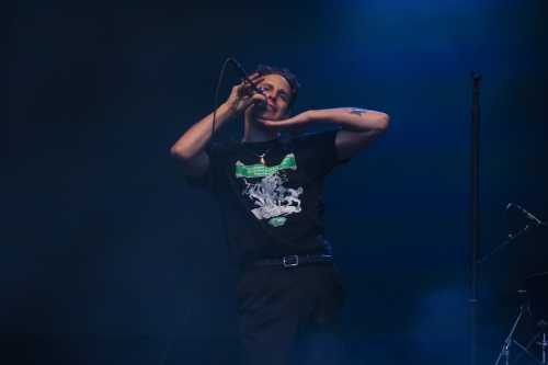 slowly slowly yours and owls 2025 03