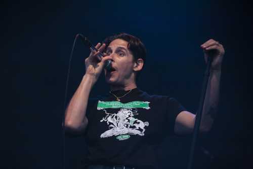 slowly slowly yours and owls 2025 05