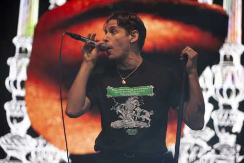 slowly slowly yours and owls 2025 06