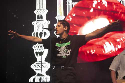 slowly slowly yours and owls 2025 07