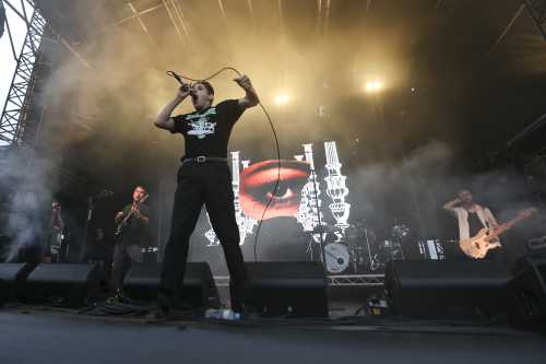 slowly slowly yours and owls 2025 11